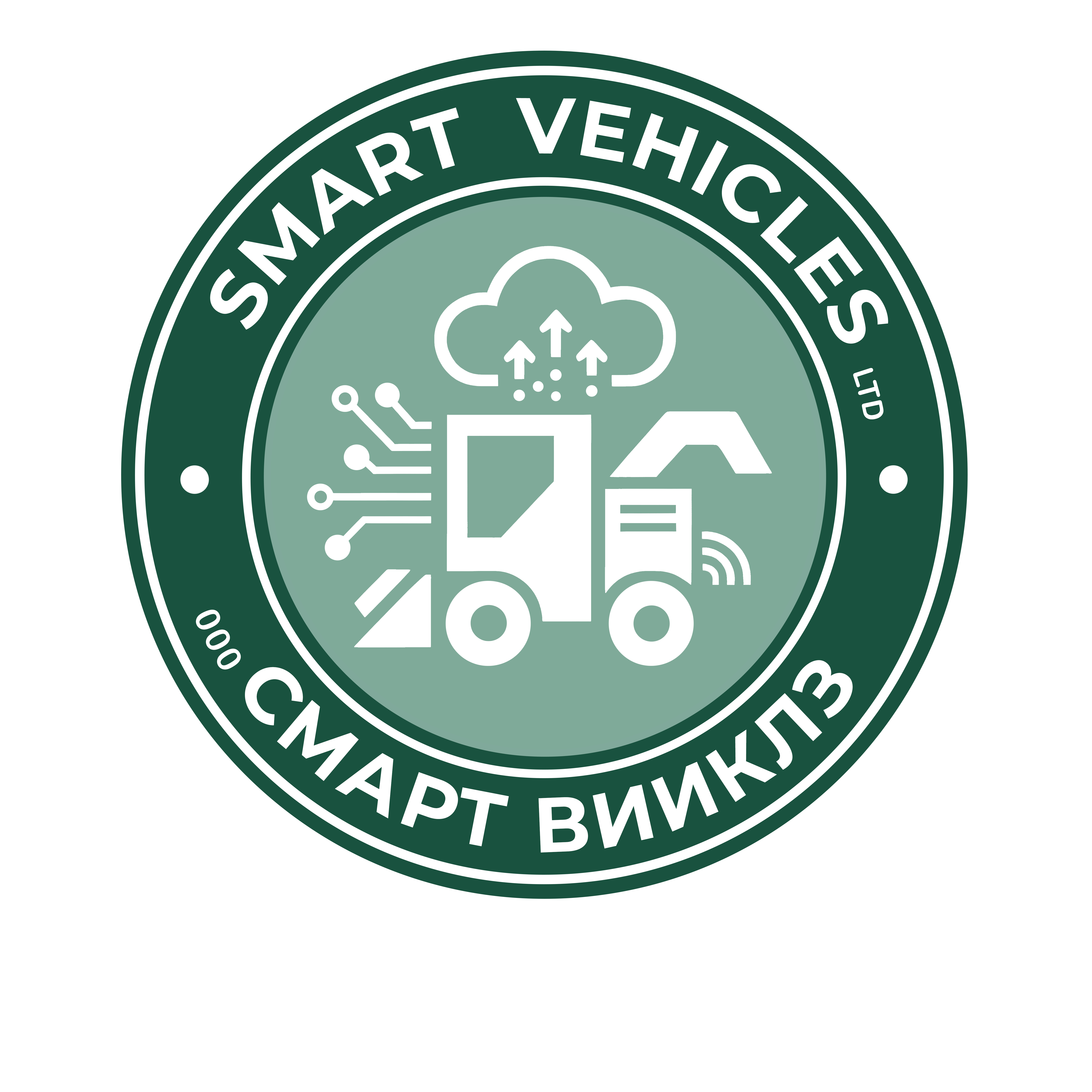 Смарт Вииклз